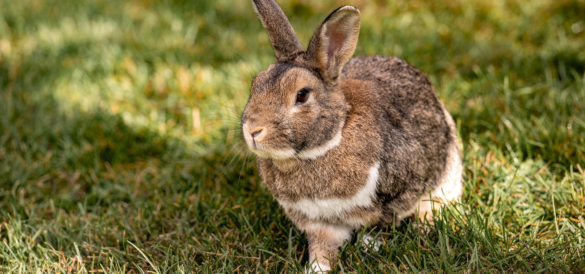 Unser Bauernhof Unterkoflhof Wellness Relax Erholung Sauna in Südtirol Seiser Alm Kastelruth Bauernhofurlaub hochalpine Kulisse Dolomiten (5)