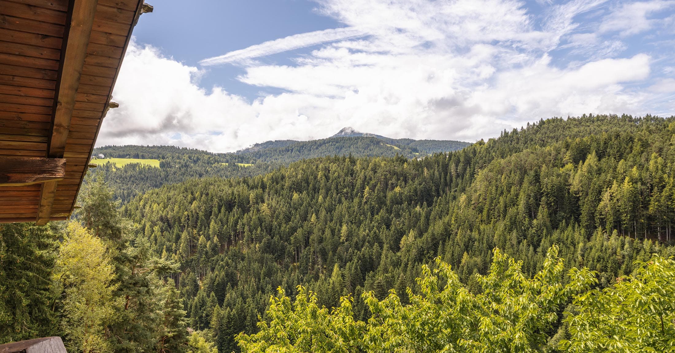 unterkofhof suedtirol dolomiten bauernhof urlaub ferienwohnungen (7)